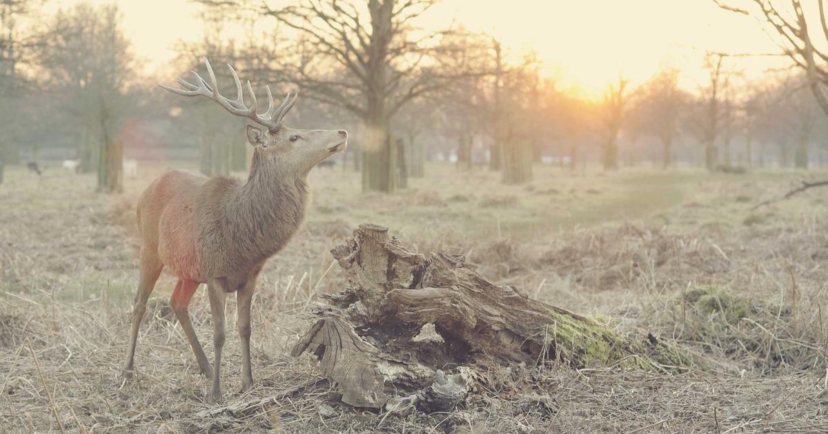 植毛後の日焼け・紫外線対策｜移植部位を守るUV対策ガイド
