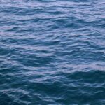 植毛 vs フィナステリド（AGA治療薬）：どちらを先に始めるべきか