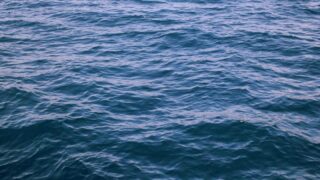 植毛 vs フィナステリド（AGA治療薬）：どちらを先に始めるべきか【2026年】