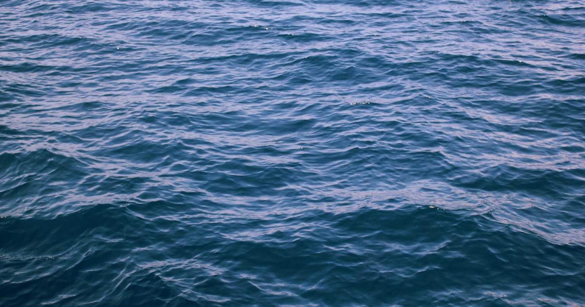 植毛 vs フィナステリド（AGA治療薬）：どちらを先に始めるべきか