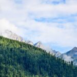 植毛 vs デュタステリド（ザガーロ）：重度AGAへの最適治療戦略