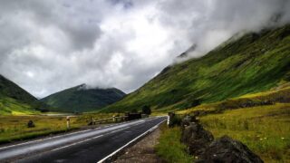 植毛 vs HARG療法・幹細胞治療：最新再生医療との比較