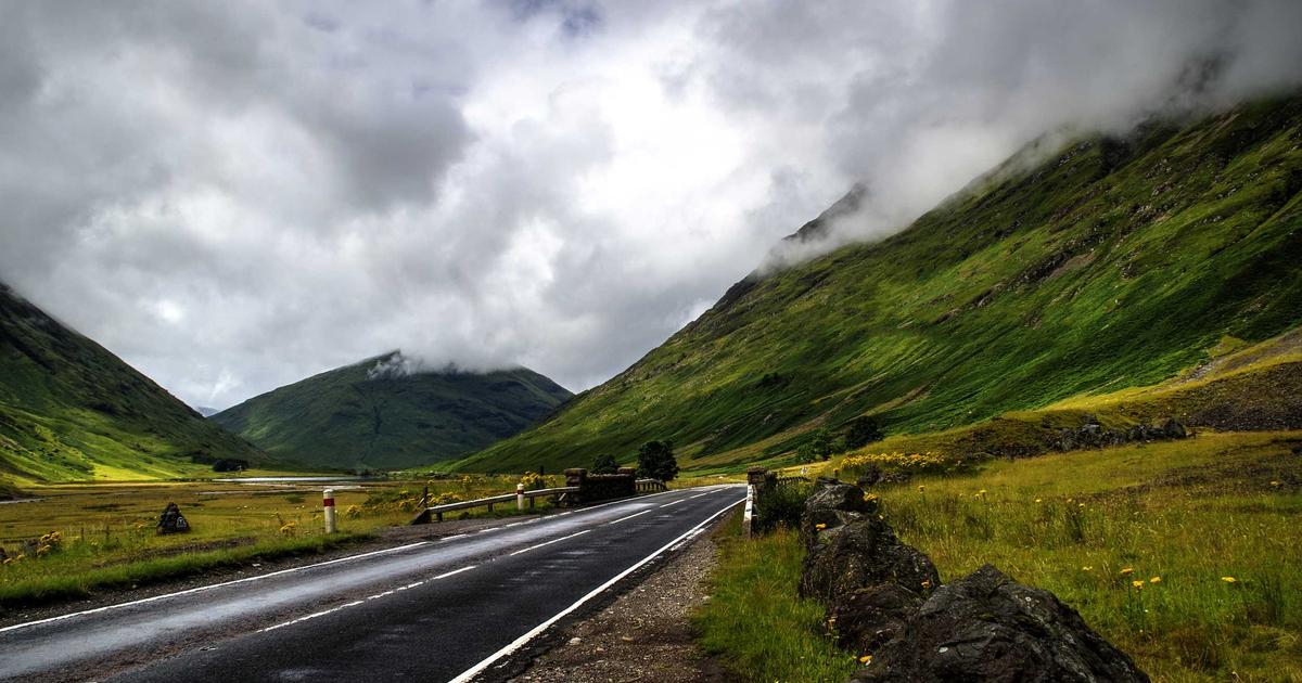 植毛 vs HARG療法・幹細胞治療：最新再生医療との比較
