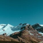 植毛 vs かつら（ウィッグ）：費用・自然さ・維持管理の長期比較