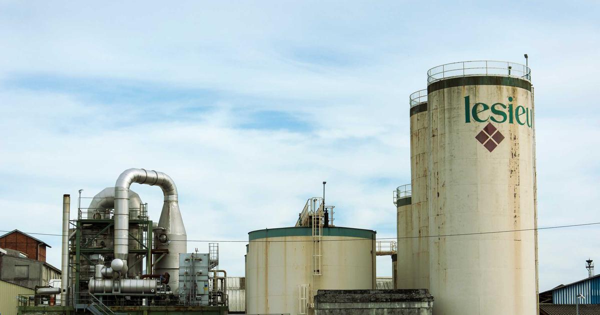 植毛後のAGA治療薬：フィナステリド・デュタステリドの継続戦略