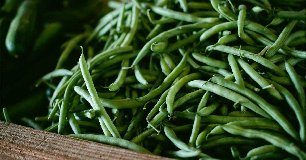 植毛とPRP療法の組み合わせ効果｜定着率向上の科学的根拠