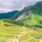 産後脱毛への植毛：適切なタイミングと代替治療法の比較