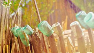 ひげ植毛（ひげ移植）の全て｜費用・技術・注意点