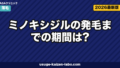 ミノキシジル発毛までの期間｜12ヶ月タイムライン【2026年版】