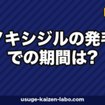 ミノキシジル発毛までの期間｜12ヶ月タイムライン【2026年版】