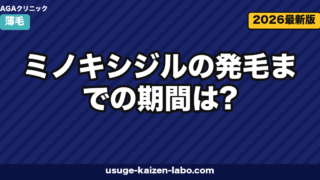 ミノキシジル発毛までの期間｜12ヶ月タイムライン【2026年版】