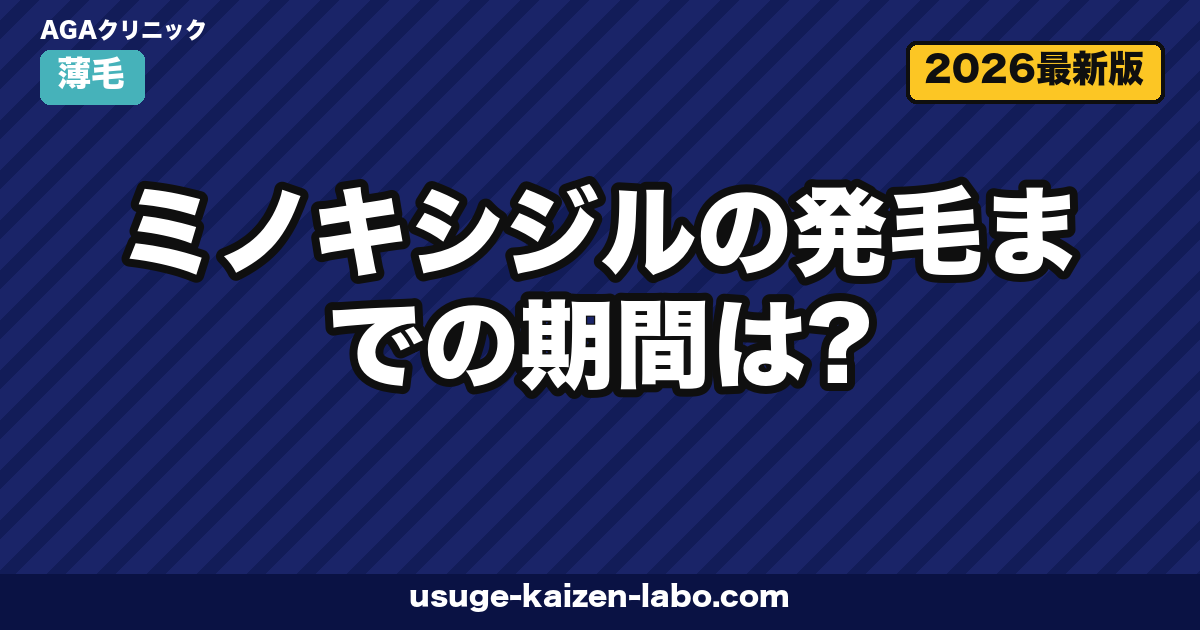 ミノキシジル発毛までの期間｜12ヶ月タイムライン【2026年版】
