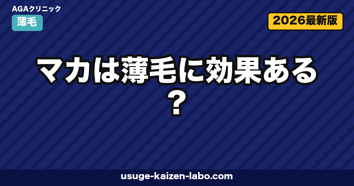 マカは薄毛に効果ある?ホルモンバランスから考える間接的な働きと正しい摂り方【2026年版】