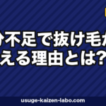 鉄分不足で抜け毛が増える理由とは?フェリチン値・食事・サプリまで医学的に徹底解説【2026年】