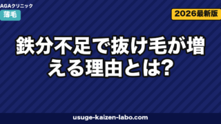 鉄分不足で抜け毛が増える理由とは?フェリチン値・食事・サプリまで医学的に徹底解説【2026年】