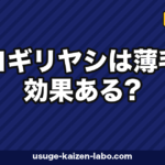 ノコギリヤシは薄毛に効果ある?口コミとエビデンスを徹底検証【2026年】