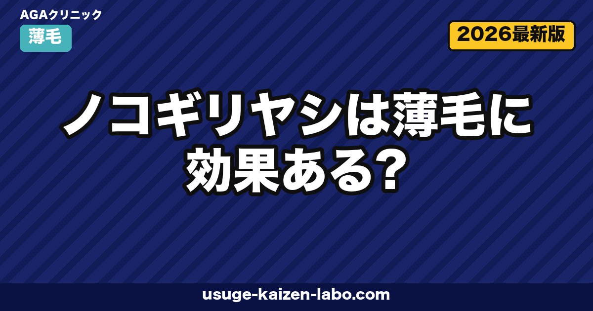 ノコギリヤシは薄毛に効果ある?口コミとエビデンスを徹底検証【2026年】