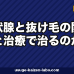 甲状腺と抜け毛の関係｜橋本病・バセドウ病で薄毛が治る7つの方法【2026年】