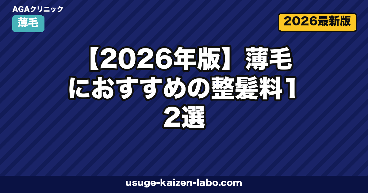 【2026年版】薄毛におすすめの整髪料12選|頭皮に優しい選び方・使い方・落とし方を徹底解説