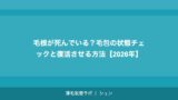 毛根が死んでいる？毛包の状態チェックと復活させる方法【2026年】