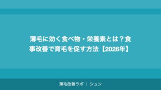 薄毛に効く食べ物・栄養素とは？食事改善で育毛を促す方法【2026年】