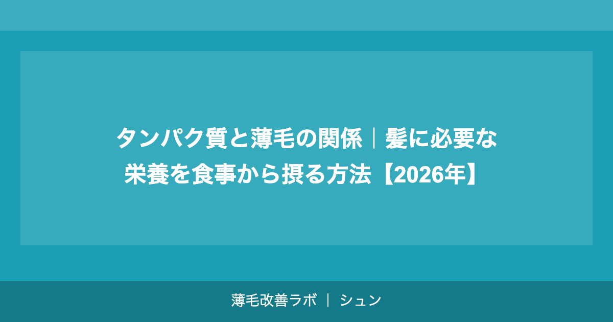 タンパク質と薄毛の関係｜髪に必要な栄養を食事から摂る方法【2026年】