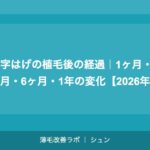 M字はげの植毛後の経過｜1ヶ月・3ヶ月・6ヶ月・1年の変化【2026年】