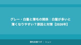 グレー・白髪と薄毛の関係｜白髪が多いと薄くなりやすい？原因と対策【2026年】