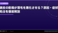 頭皮の乾燥が薄毛を悪化させる?原因・症状・対処法を徹底解説【2026年】