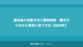 植毛で後悔した人の失敗談5選｜失敗しないための事前対策【2026年】
