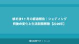 植毛後1ヶ月の経過報告｜シェディング前後の変化と生活制限解除【2026年】