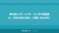 植毛後3ヶ月・6ヶ月・12ヶ月の経過変化｜月別の変化を詳しく解説【2026年】