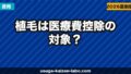 植毛は医療費控除の対象？確定申告での申請方法【2026年版】