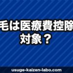 植毛は医療費控除の対象？確定申告での申請方法【2026年版】