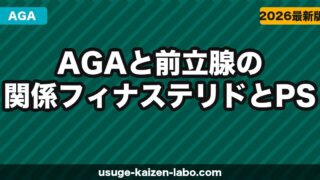 AGAと前立腺の関係｜フィナステリドとPSA検査・前立腺への影響を解説【2026年】