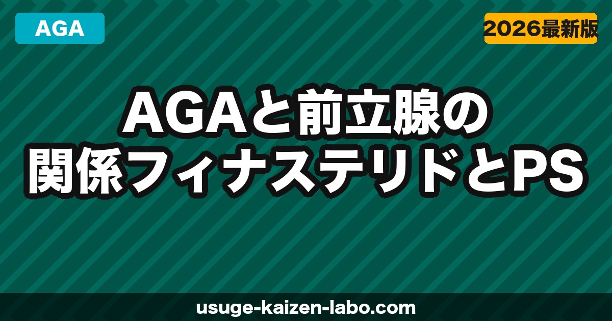 AGAと前立腺の関係｜フィナステリドとPSA検査・前立腺への影響を解説【2026年】