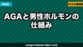 AGAと男性ホルモン（テストステロン・DHT）の仕組みをわかりやすく解説【2026年】