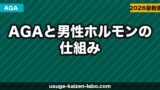 AGAと男性ホルモン（テストステロン・DHT）の仕組みをわかりやすく解説【2026年】