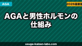 AGAと男性ホルモン（テストステロン・DHT）の仕組みをわかりやすく解説【2026年】