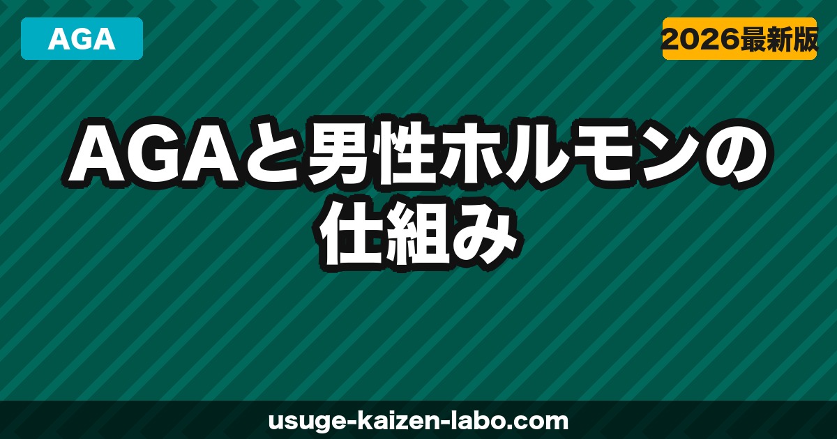 AGAと男性ホルモン（テストステロン・DHT）の仕組みをわかりやすく解説【2026年】