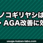 ノコギリヤシ（ソウパルメット）は薄毛・AGA改善に効果ある？【2026年】