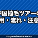 【2024年最新】中国植毛ツアーの費用・流れ・注意点｜日本人向け完全ガイド