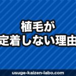 植毛が定着しなかった原因と対処法【医師監修】再植毛・修正の判断基準も解説
