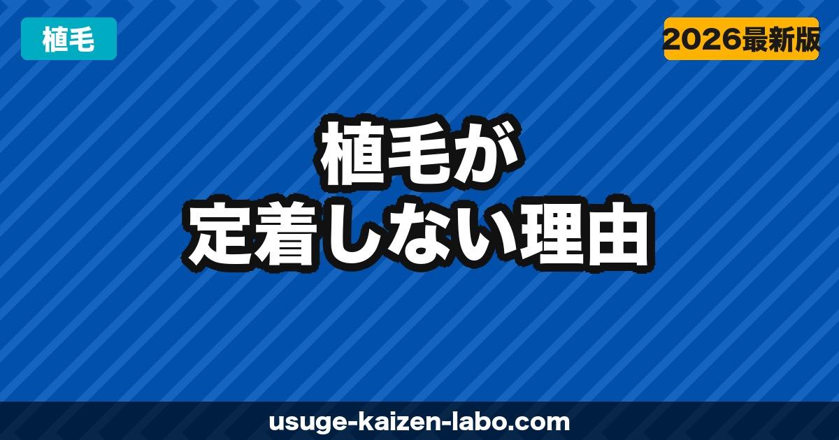 植毛が定着しなかった原因と対処法【医師監修】再植毛・修正の判断基準も解説