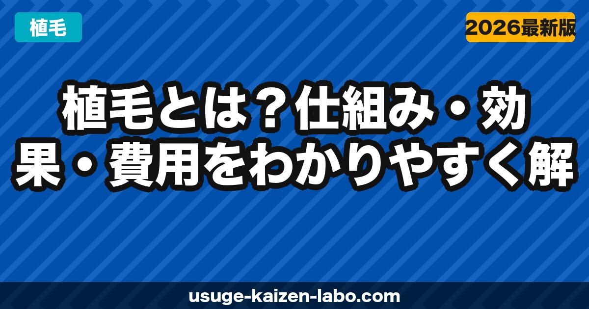 植毛とは？仕組み・効果・費用をわかりやすく解説【2026年最新】