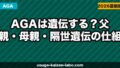 AGAは遺伝する？父親・母親・隔世遺伝の仕組みと薄毛リスクの対策を徹底解説【2026年】