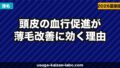 頭皮の血行促進が薄毛改善に効く理由｜血行不良チェックと改善法5選【2026年】
