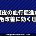 頭皮の血行促進が薄毛改善に効く理由｜血行不良チェックと改善法5選【2026年】
