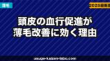 頭皮の血行促進が薄毛改善に効く理由｜血行不良チェックと改善法5選【2026年】