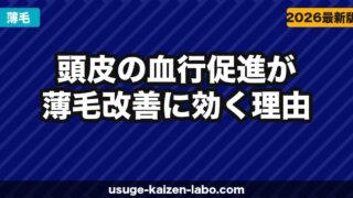 頭皮の血行促進が薄毛改善に効く理由｜血行不良チェックと改善法5選【2026年】
